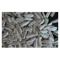 Семена подсолнечника Белый турецкий